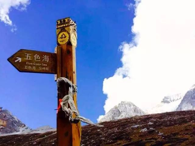 路牌带我抵达这里，而不是谷歌、百度、高德地图｜群分享