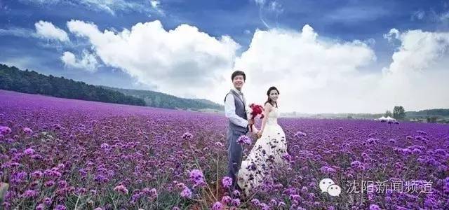 沈阳最新赏花地点,沈阳周边自驾赏花