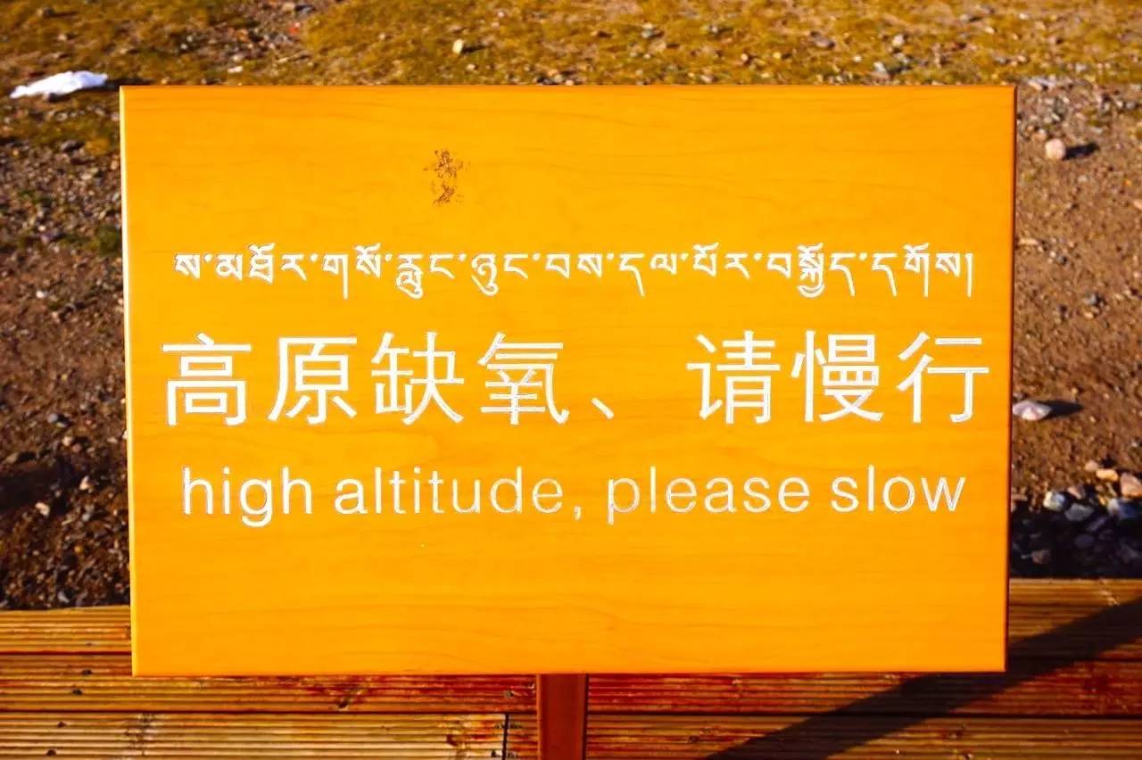 路牌带我抵达这里，而不是谷歌、百度、高德地图｜群分享