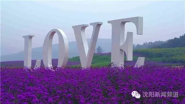 沈阳最新赏花地点,沈阳周边自驾赏花