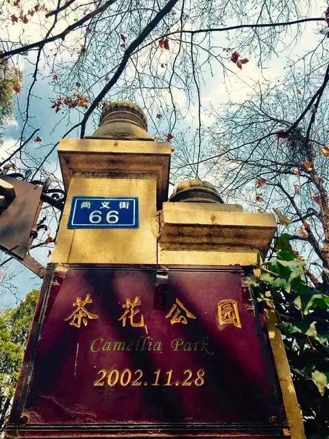 路牌带我抵达这里，而不是谷歌、百度、高德地图｜群分享