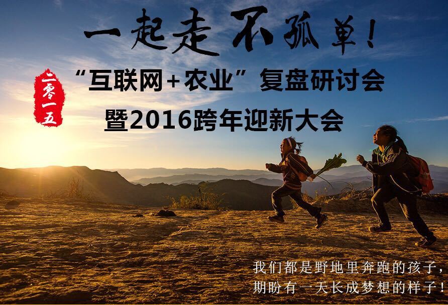 2019年中国农业大事件,农业电商深度解析