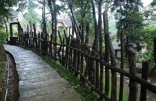 东南第一山私藏浙南最美的风情,浙江山林美宿攻略