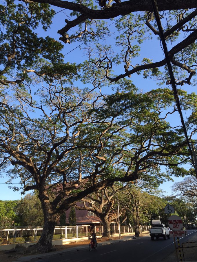 【自助婚纱】菲律宾杜马盖地地区9天8夜蜜月游-详细攻略+大量自拍婚纱照