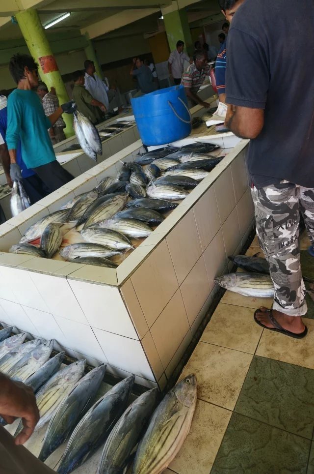 马尔代夫马富施岛,马尔代夫7日游不含机票