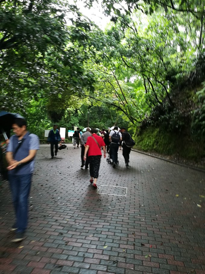 游轮旅行3天2晚地中海,msc地中海抒情号游轮团购