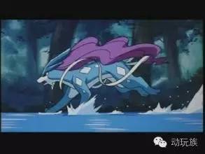 精灵宝可梦图鉴第55期,宝可梦图鉴807只精灵