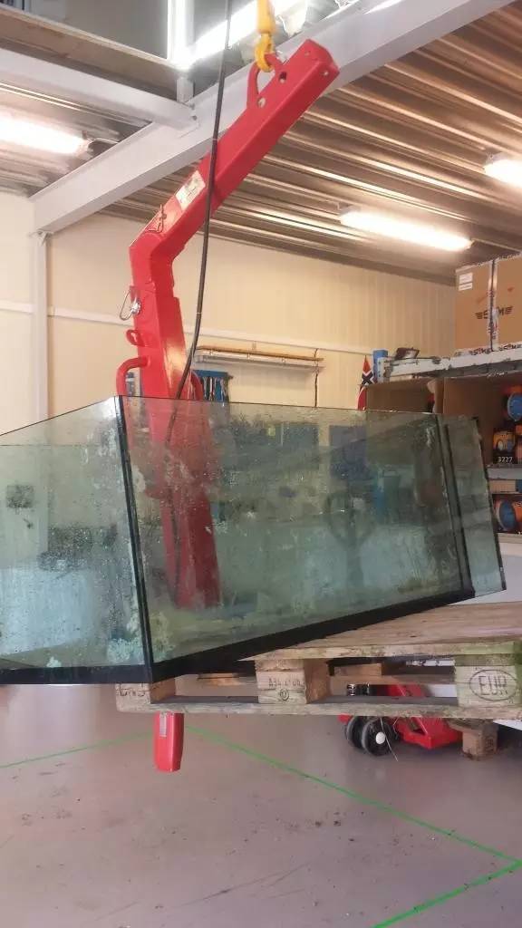 北欧古法缸,记录原生缸养鱼过程