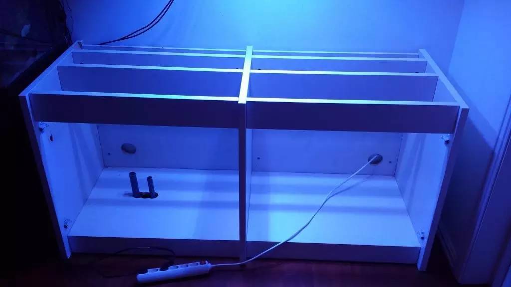 北欧古法缸,记录原生缸养鱼过程