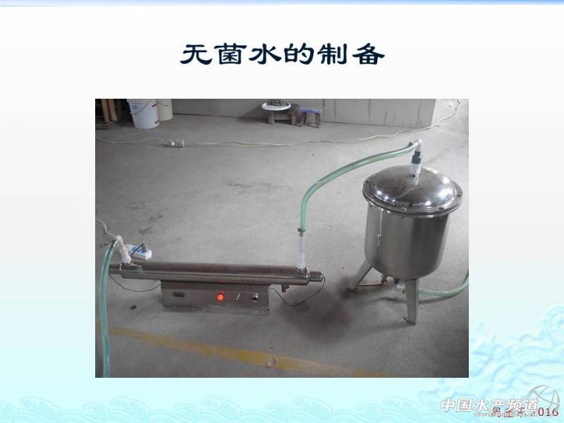 乳酸菌扩培流程,乳酸菌的扩培方法视频