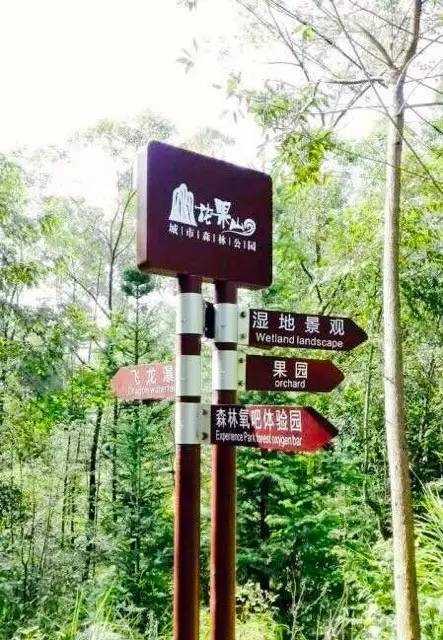 路牌带我抵达这里，而不是谷歌、百度、高德地图｜群分享