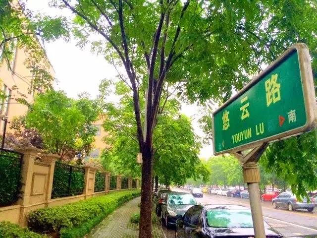 路牌带我抵达这里，而不是谷歌、百度、高德地图｜群分享