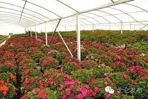 梦里新水乡就在北仑人身边！你知道是哪里吗？