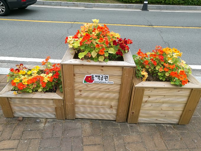 游轮旅行3天2晚地中海,msc地中海抒情号游轮团购