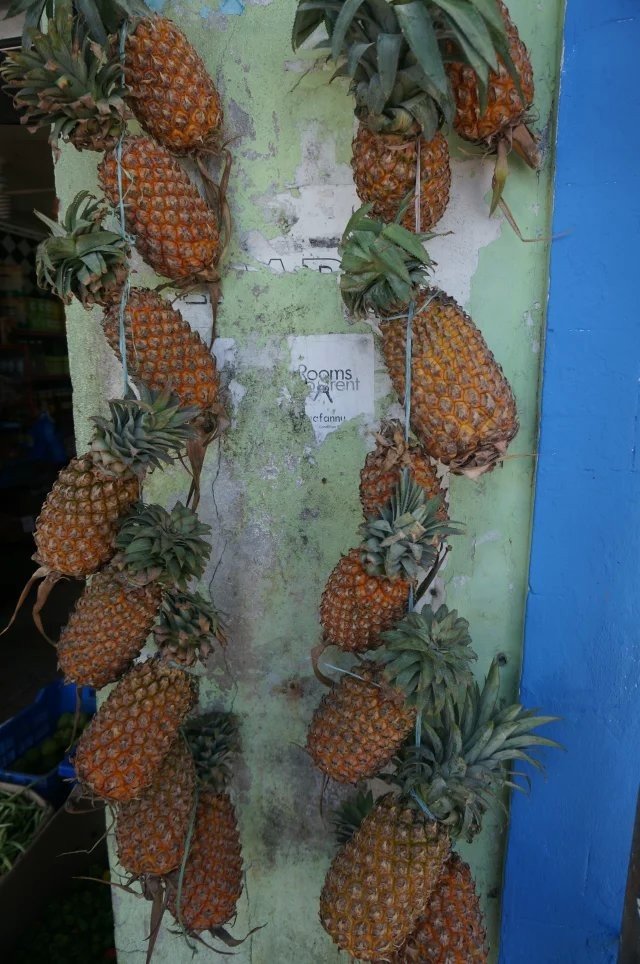 马尔代夫马富施岛,马尔代夫7日游不含机票