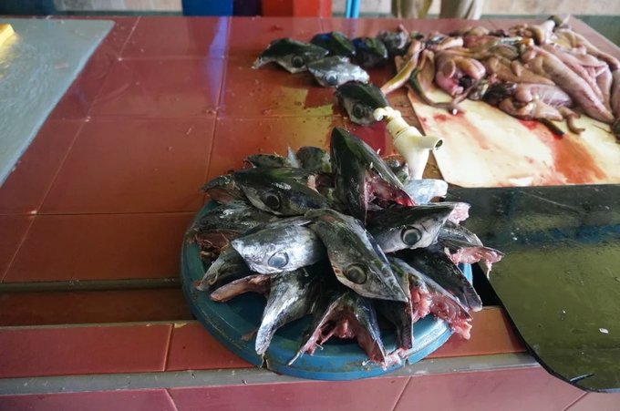 马尔代夫马富施岛,马尔代夫7日游不含机票