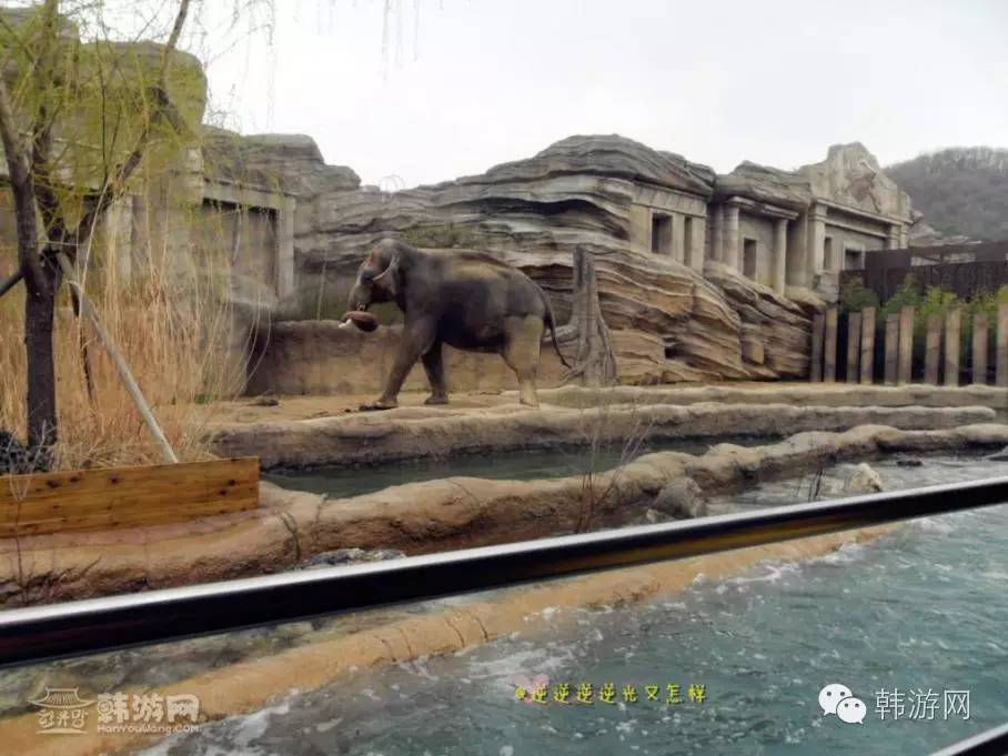 闺蜜两个去超市买零食吃,闺蜜两人闯天下