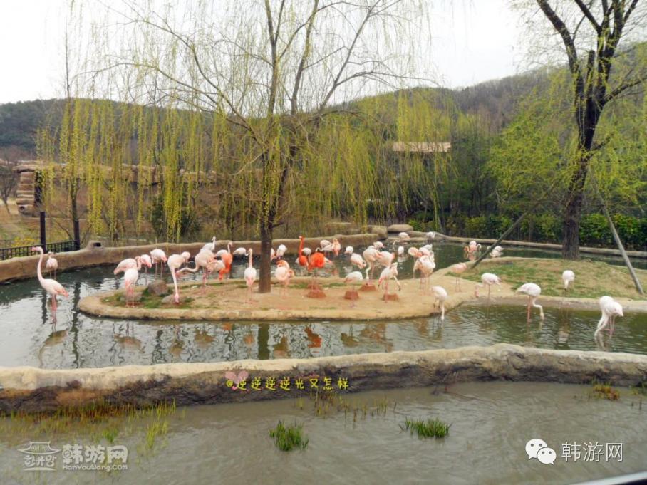 闺蜜两个去超市买零食吃,闺蜜两人闯天下