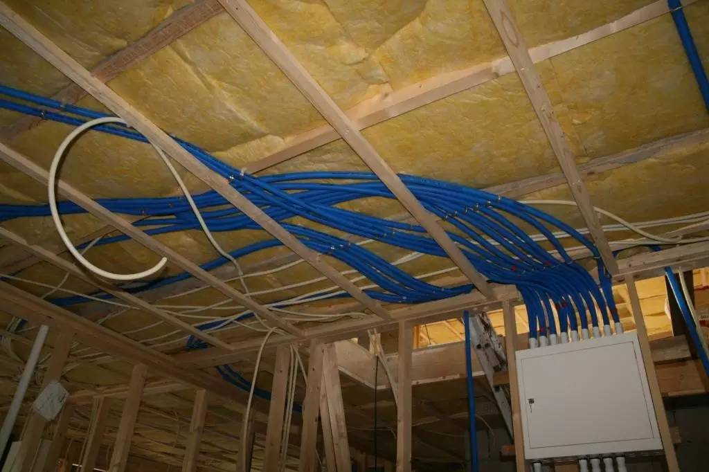 北欧古法缸,记录原生缸养鱼过程