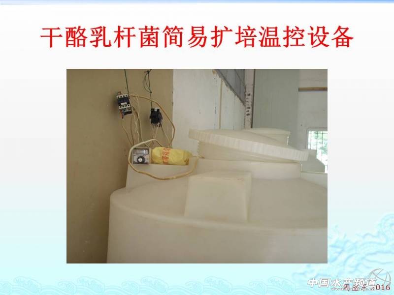 乳酸菌扩培流程,乳酸菌的扩培方法视频