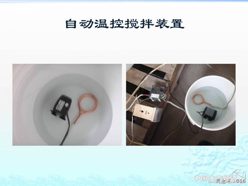 乳酸菌扩培流程,乳酸菌的扩培方法视频