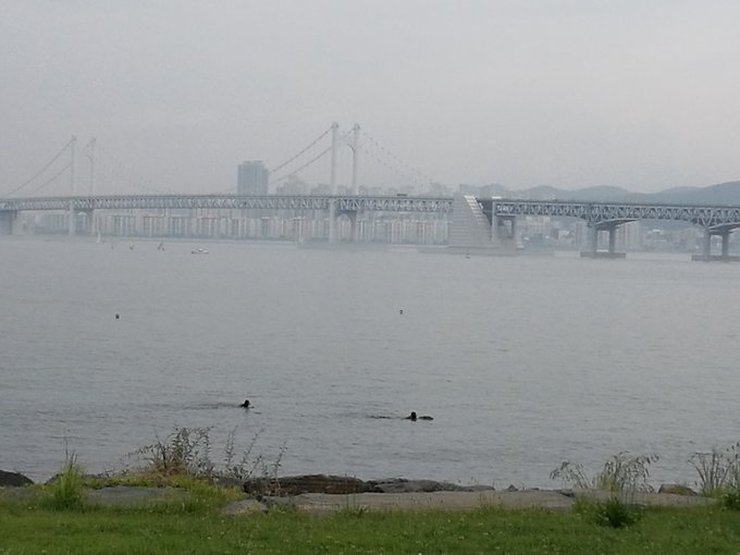 游轮旅行3天2晚地中海,msc地中海抒情号游轮团购