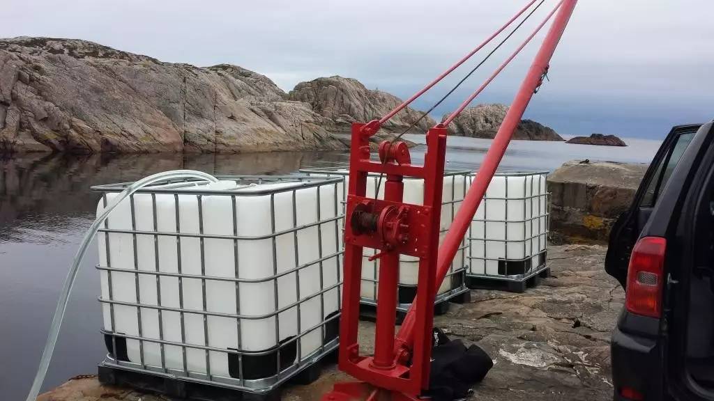 北欧古法缸,记录原生缸养鱼过程