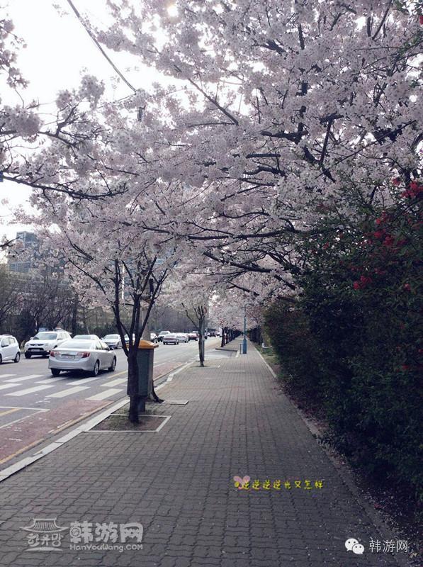 闺蜜两个去超市买零食吃,闺蜜两人闯天下