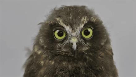 在南昌的10种花样死法,总有一种在劫难逃!