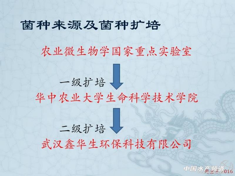 乳酸菌扩培流程,乳酸菌的扩培方法视频