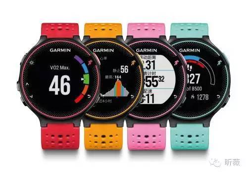 减肥不减肥的东西备齐了,减肥先不要做力量训练