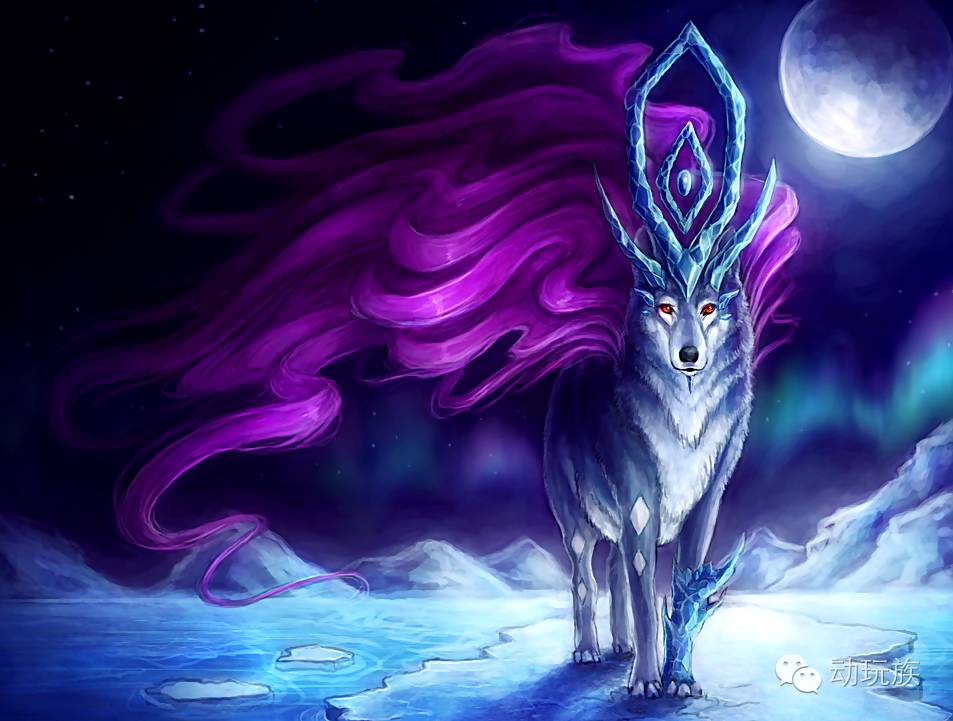 精灵宝可梦图鉴第55期,宝可梦图鉴807只精灵