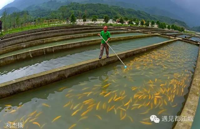 游玩都江堰攻略,强烈推荐都江堰雨天旅游攻略