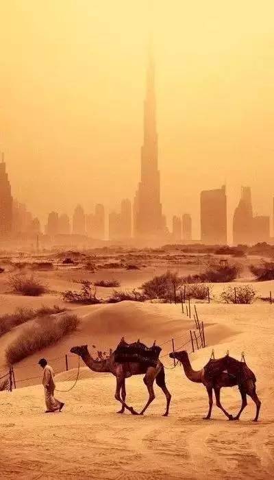 你没穷过永远不懂缺钱的滋味,你没穷过你不会懂穷人的世界