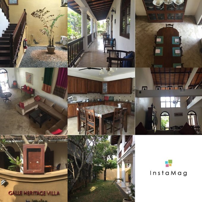 锡兰，九野，春天里@2016