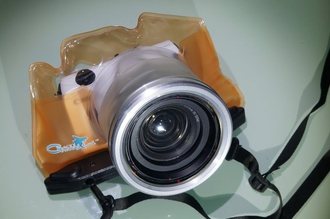 马尔代夫莉莉岛怎么玩,马尔代夫莉莉岛出海项目