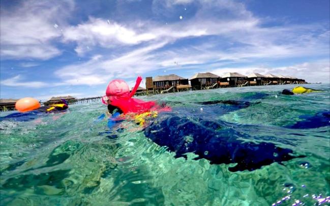 马尔代夫莉莉岛怎么玩,马尔代夫莉莉岛出海项目