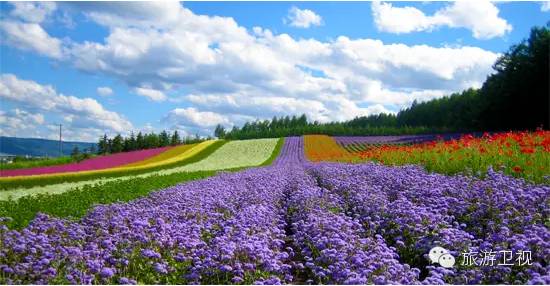 胡歌霍建华最美的场景视频,胡歌霍建华冬天游玩