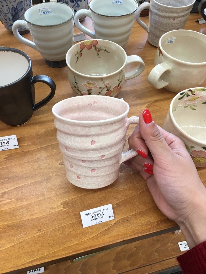 16年的大阪,京都樱花2016