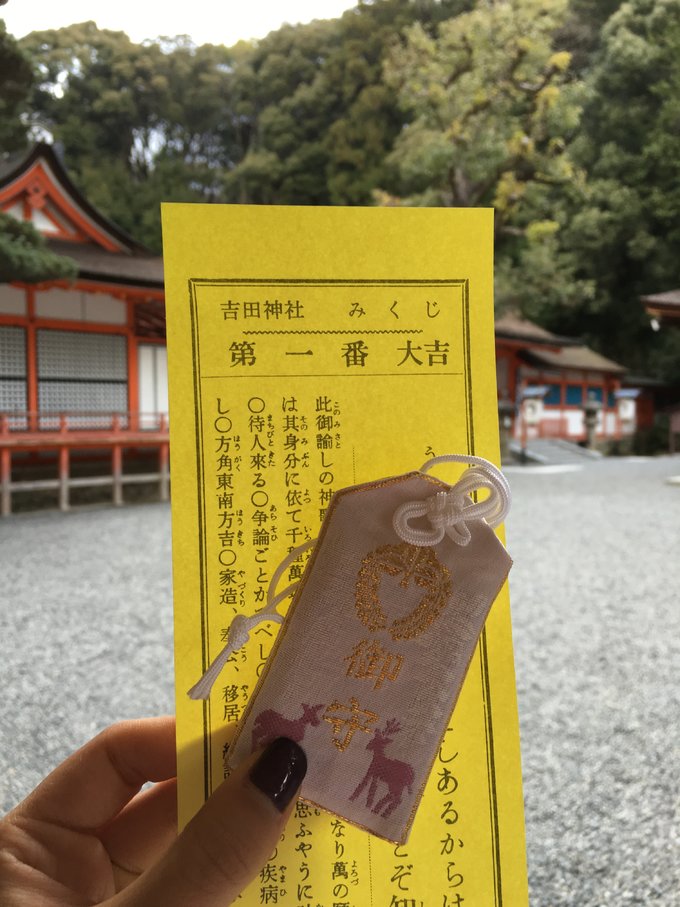 16年的大阪,京都樱花2016