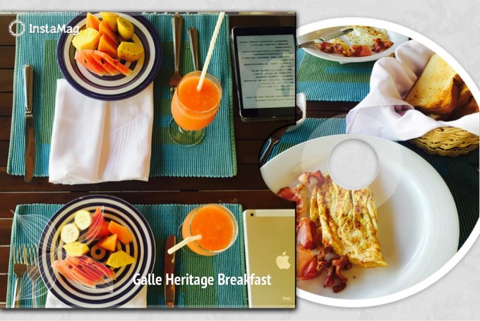 锡兰，九野，春天里@2016