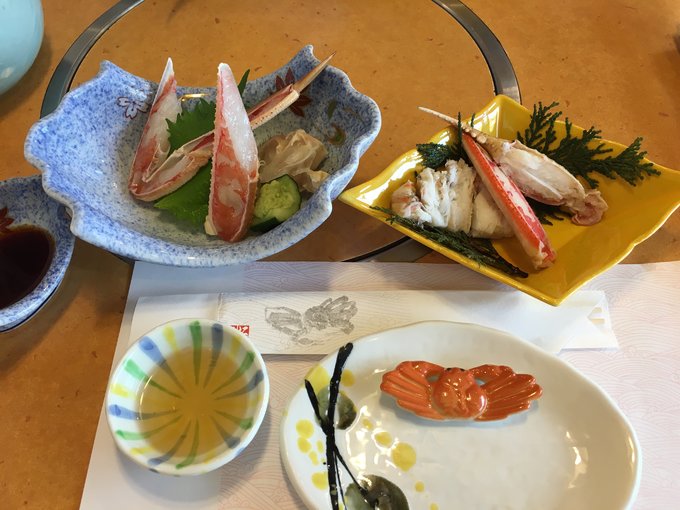 16年的大阪,京都樱花2016