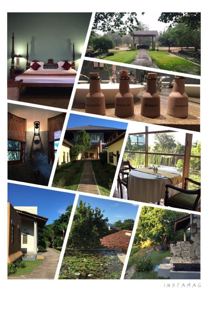 锡兰，九野，春天里@2016