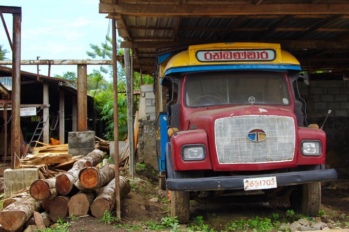 锡兰，九野，春天里@2016
