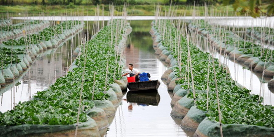 江西余干小龙虾养殖,杨氏黄鳝小龙虾水产养殖