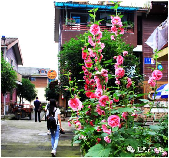 游玩都江堰攻略,强烈推荐都江堰雨天旅游攻略