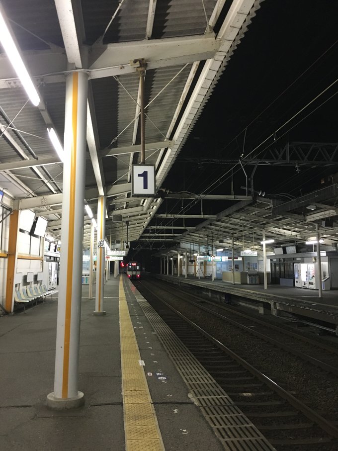 16年的大阪,京都樱花2016