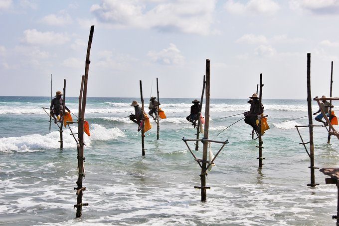 锡兰，九野，春天里@2016