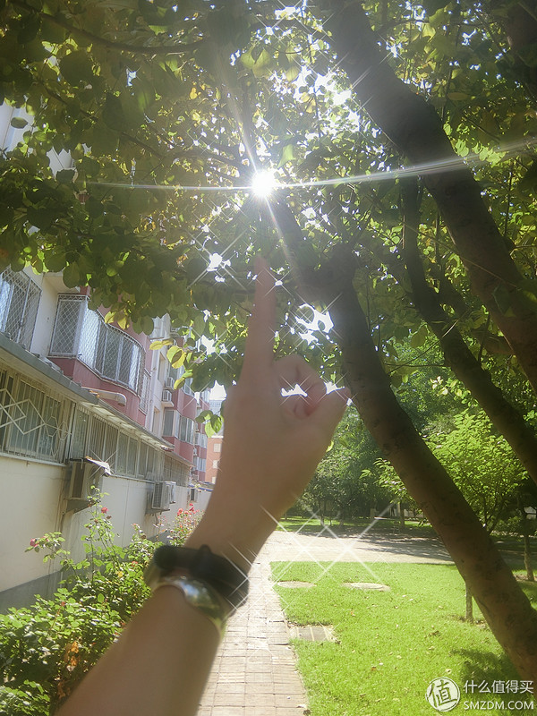 卡西欧tr600自拍镜,卡西欧tr600拍照效果图