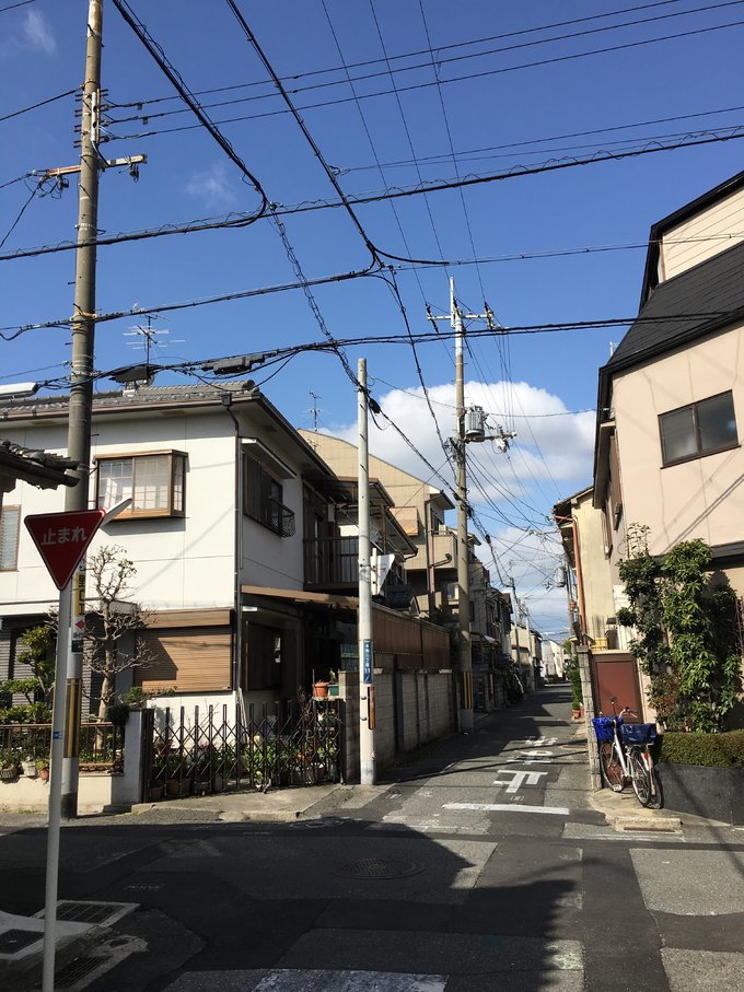 16年的大阪,京都樱花2016